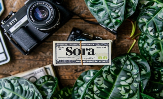 Make Money with Sora: OpenAI's Text-to-Video Model