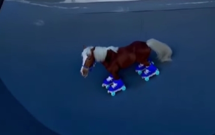 Sora Video: A horse wearing roller skates