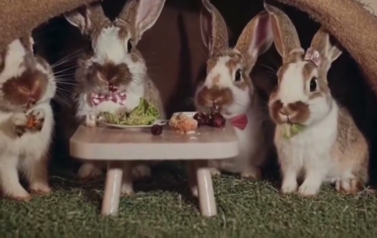 Sora video: rabbit family eating dinner