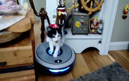 Sora Video: An adorable kitten pirate riding a robot vacuum around the house